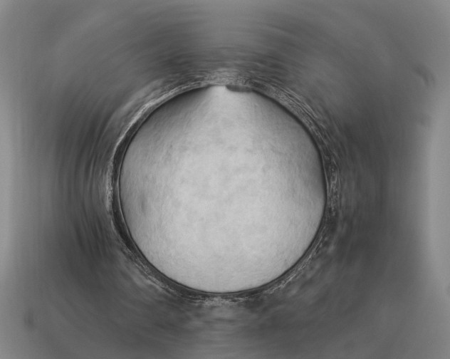X0000115100290200911101550