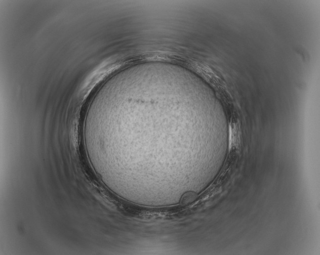 X0000115100291200911101550