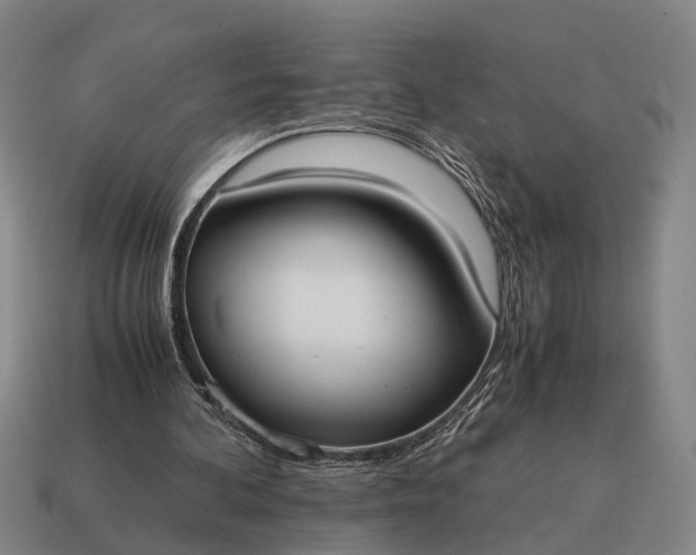 X0000115100292200911101550