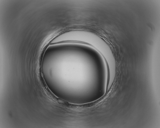 X0000115100293200911101550