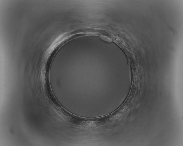 X0000115100295200911101550