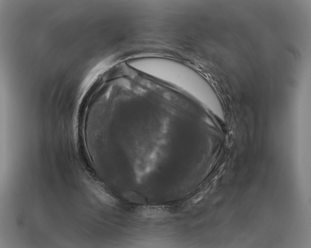 X0000115100296200911101550