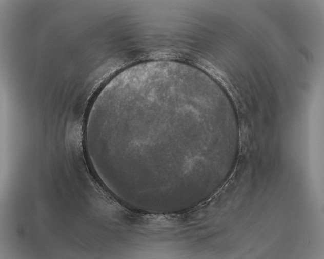 X0000115100297200911101550