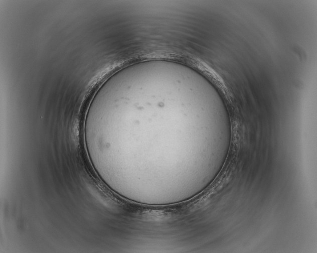 X0000115100298200911101550