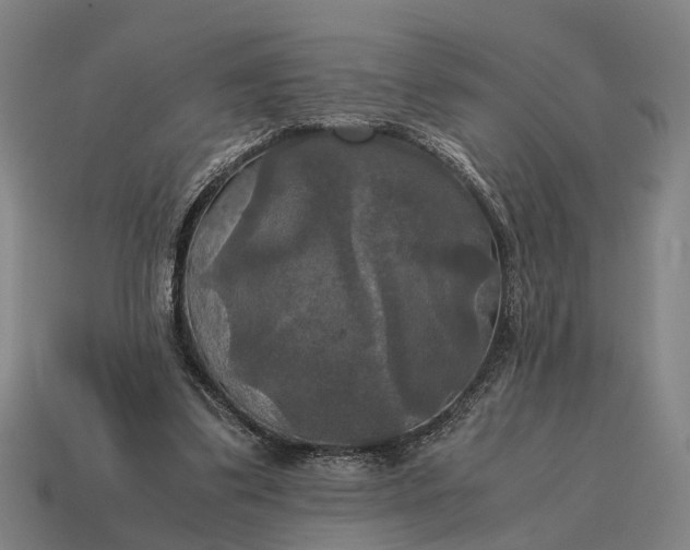 X0000115100299200911101550