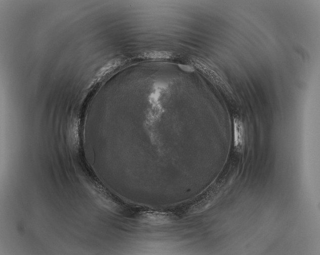 X0000115100300200911101550