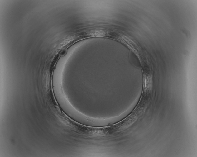 X0000115100301200911101550