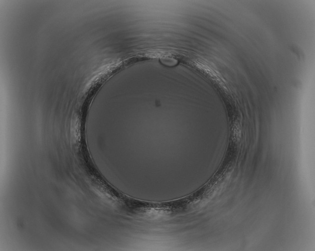 X0000115100303200911101550