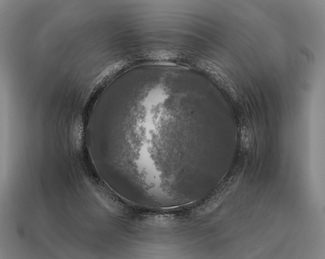 X0000115100304200911101550