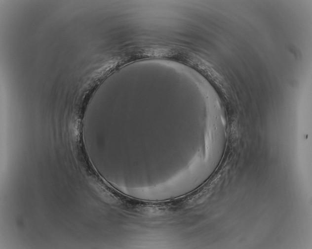 X0000115100305200911101550