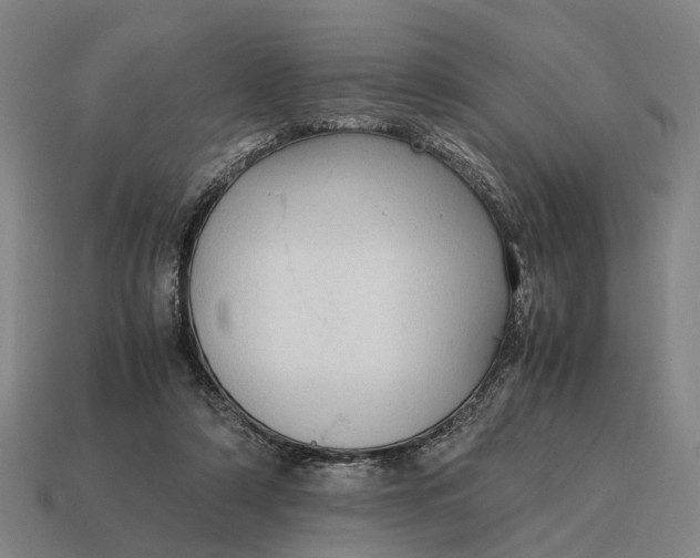X0000115100306200911101550