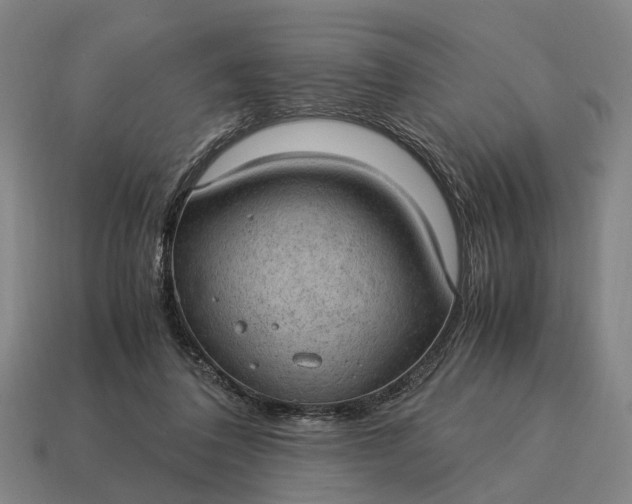 X0000115100308200911101550