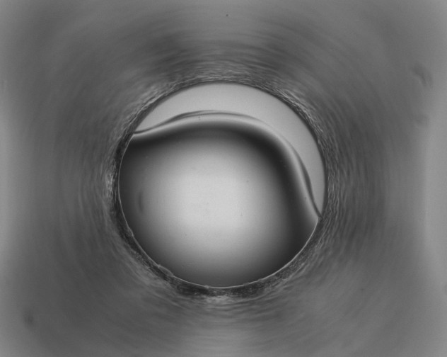 X0000115100309200911101550