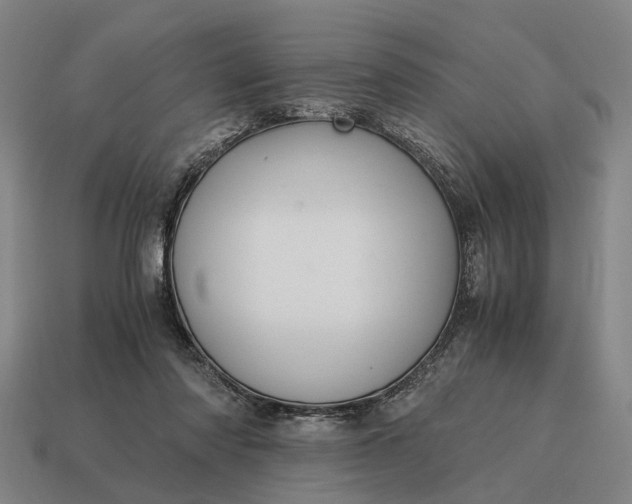 X0000115100310200911101550