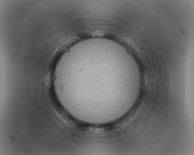 X0000115100311200911101550