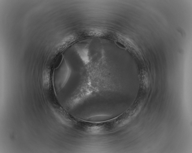 X0000115100312200911101550