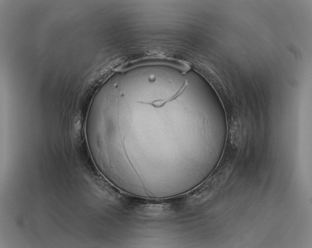 X0000115100314200911101550