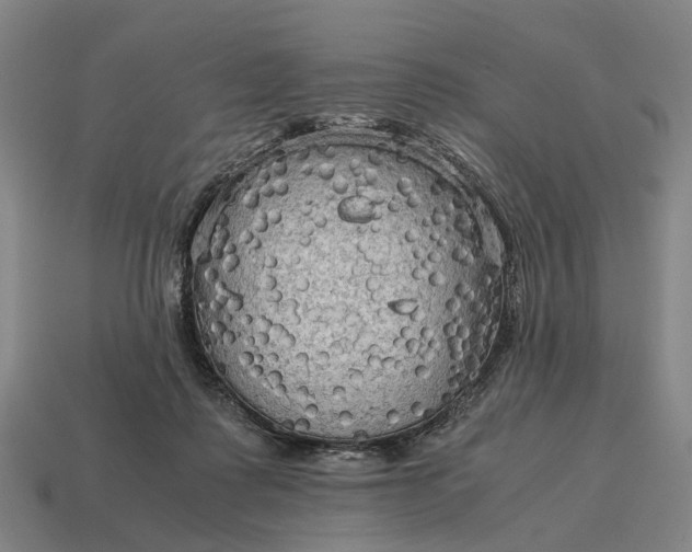X0000115100315200911101550