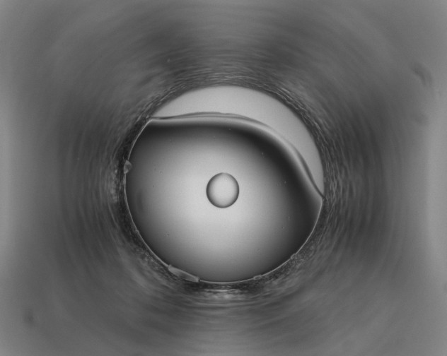 X0000115100316200911101550