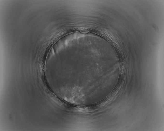 X0000115100317200911101550