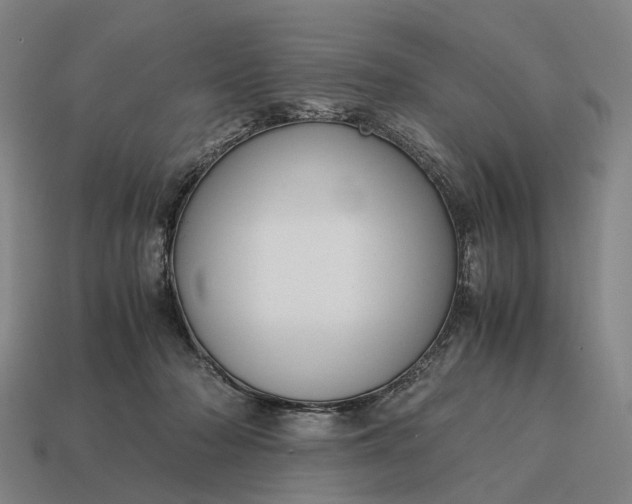 X0000115100318200911101550