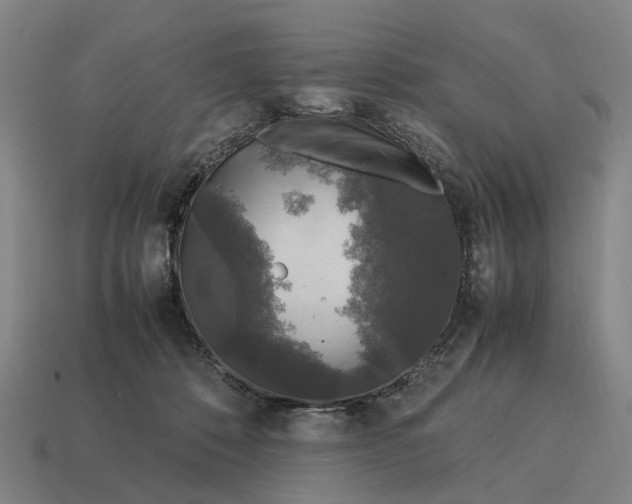 X0000115100320200911101550