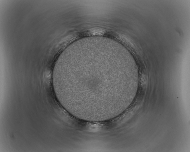 X0000115100321200911101550