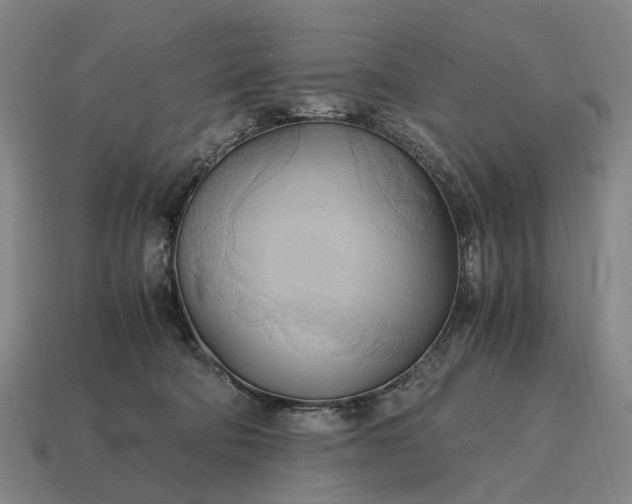 X0000115100322200911101550