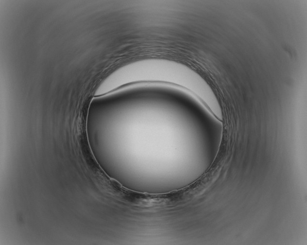 X0000115100323200911101550