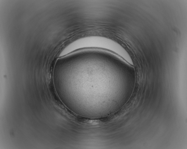 X0000115100324200911101550
