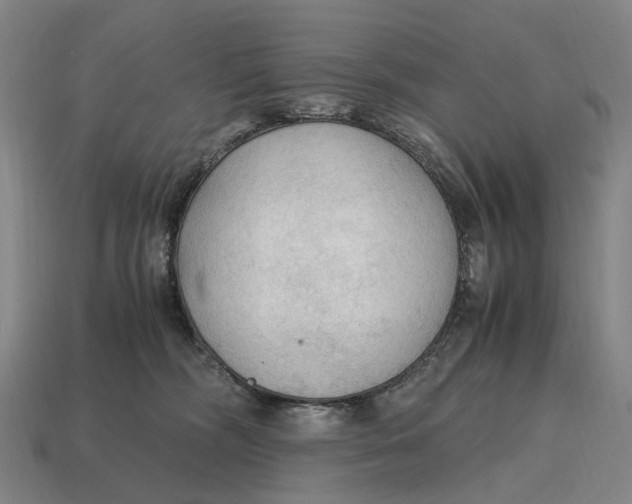 X0000115100326200911101550