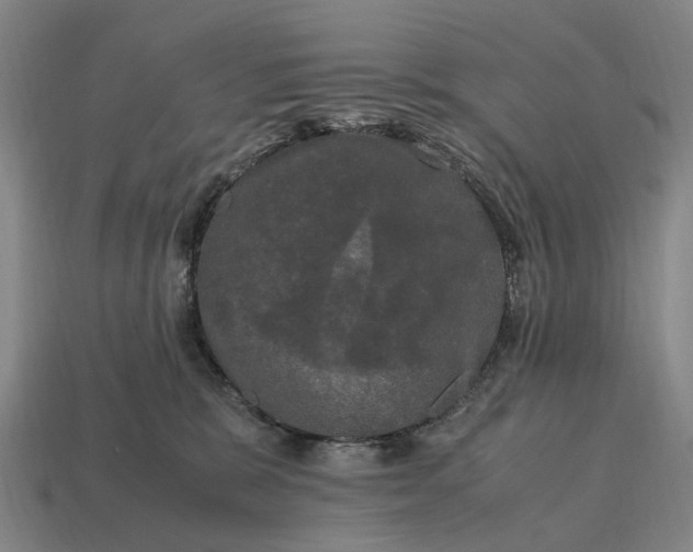 X0000115100327200911101550