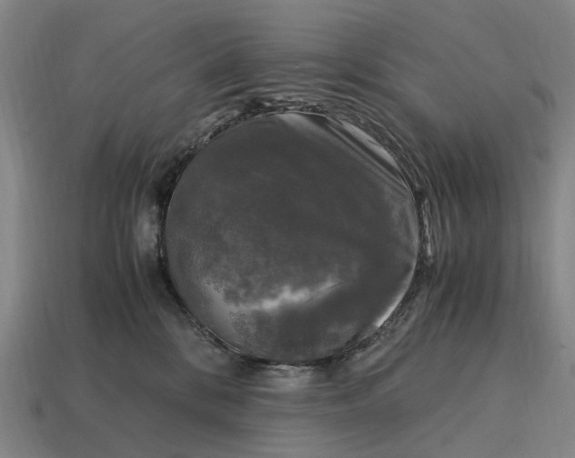 X0000115100328200911101550