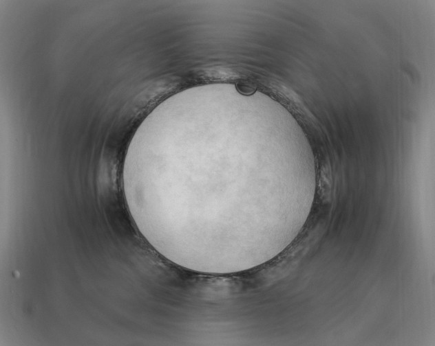 X0000115100330200911101550