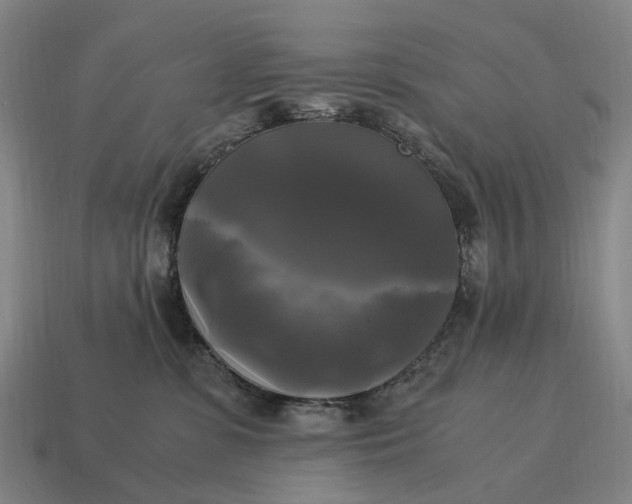X0000115100331200911101550