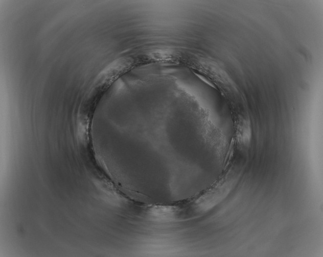 X0000115100332200911101550