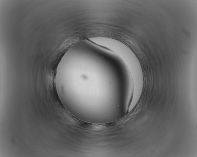 X0000115100333200911101550