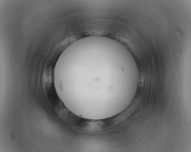 X0000115100334200911101550