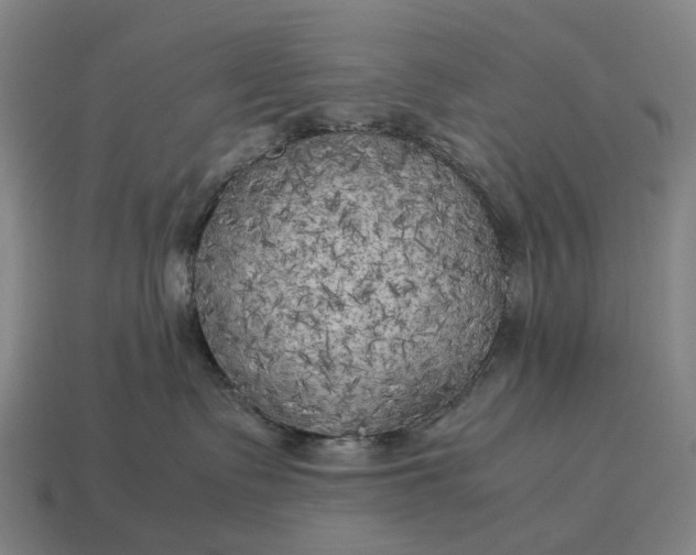X0000115100335200911101550