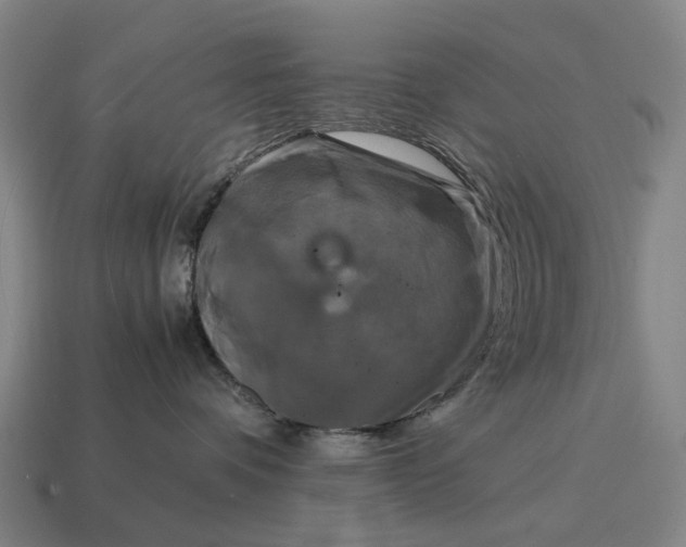 X0000115100336200911101550