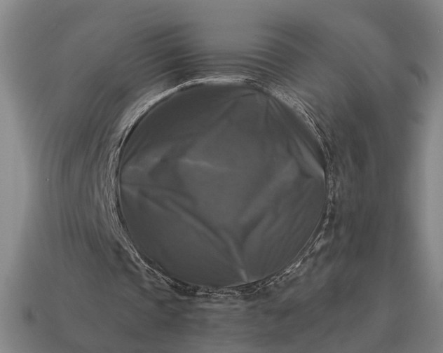 X0000115100337200911101549