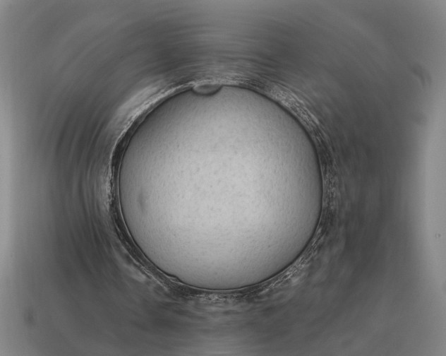 X0000115100338200911101549
