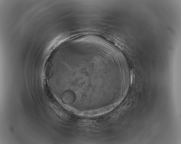 X0000115100339200911101549