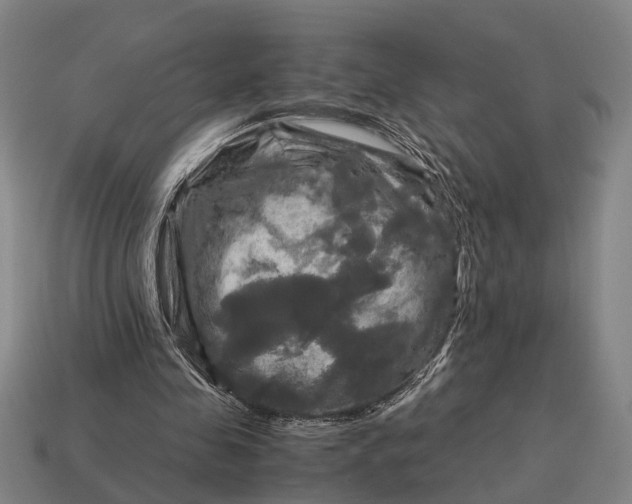 X0000115100341200911101549