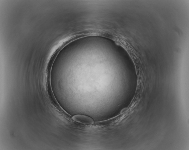 X0000115100342200911101549