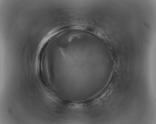 X0000115100343200911101549