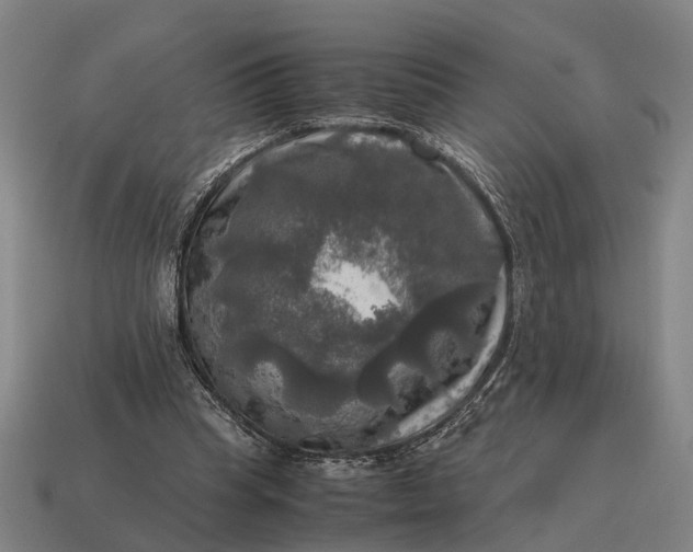 X0000115100345200911101549