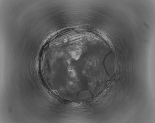 X0000115100346200911101549