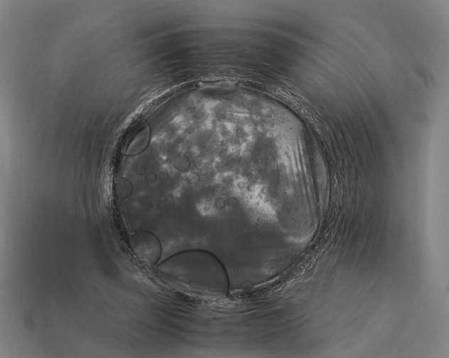 X0000115100347200911101549