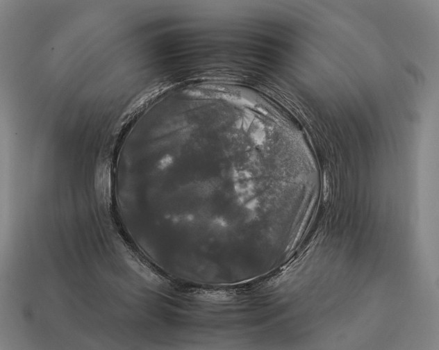 X0000115100349200911101549